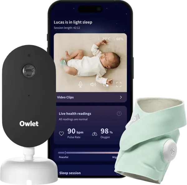 Owlet Dream Duo Mint