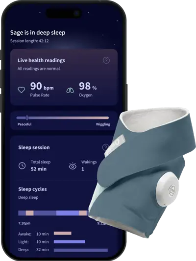 Owlet Dream Sock Bedtime Blue