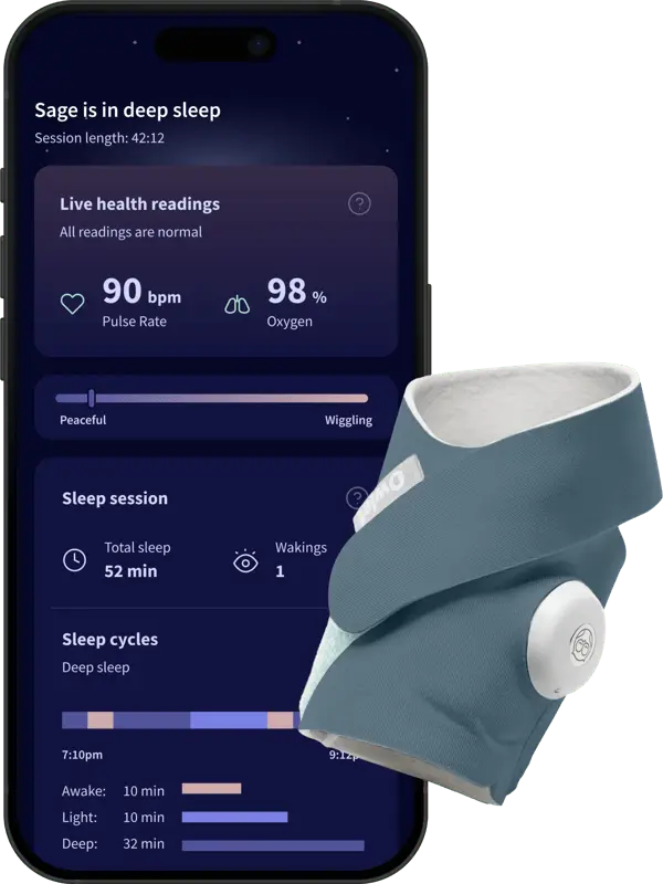 Owlet Dream Sock Bedtime Blue