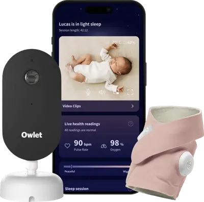 Owlet Dream Duo Dusty Rose