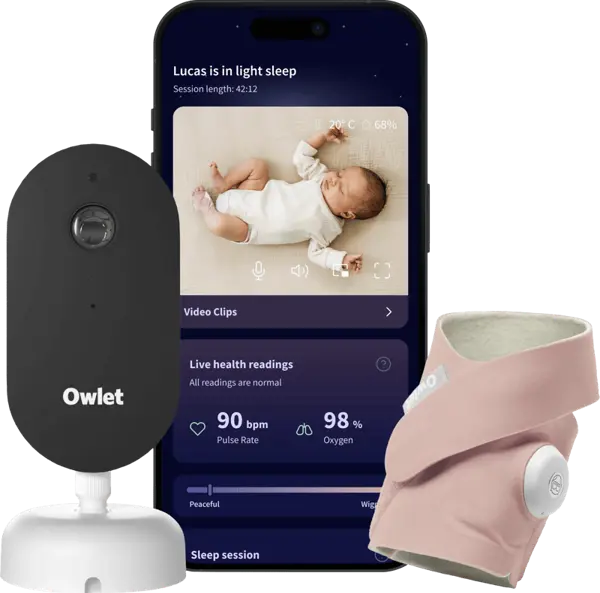 Owlet Dream Duo Dusty Rose