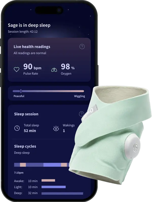 Owlet Dream Sock Mint