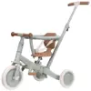 Driewieler/Fietsje Little Dutch 4-in-1 Green/Green Leaf